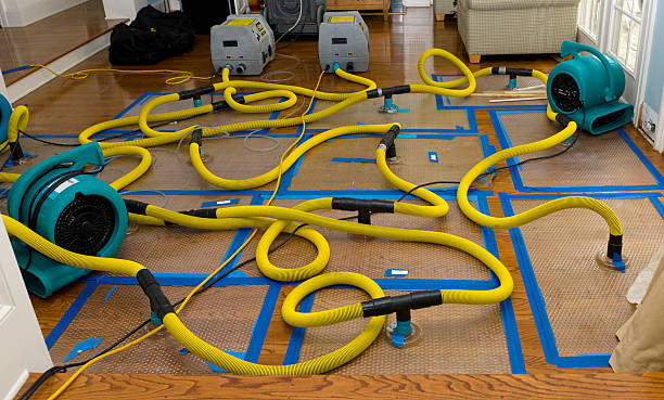 Professional Crawl Space Water Removal technician working in Hampden, ME